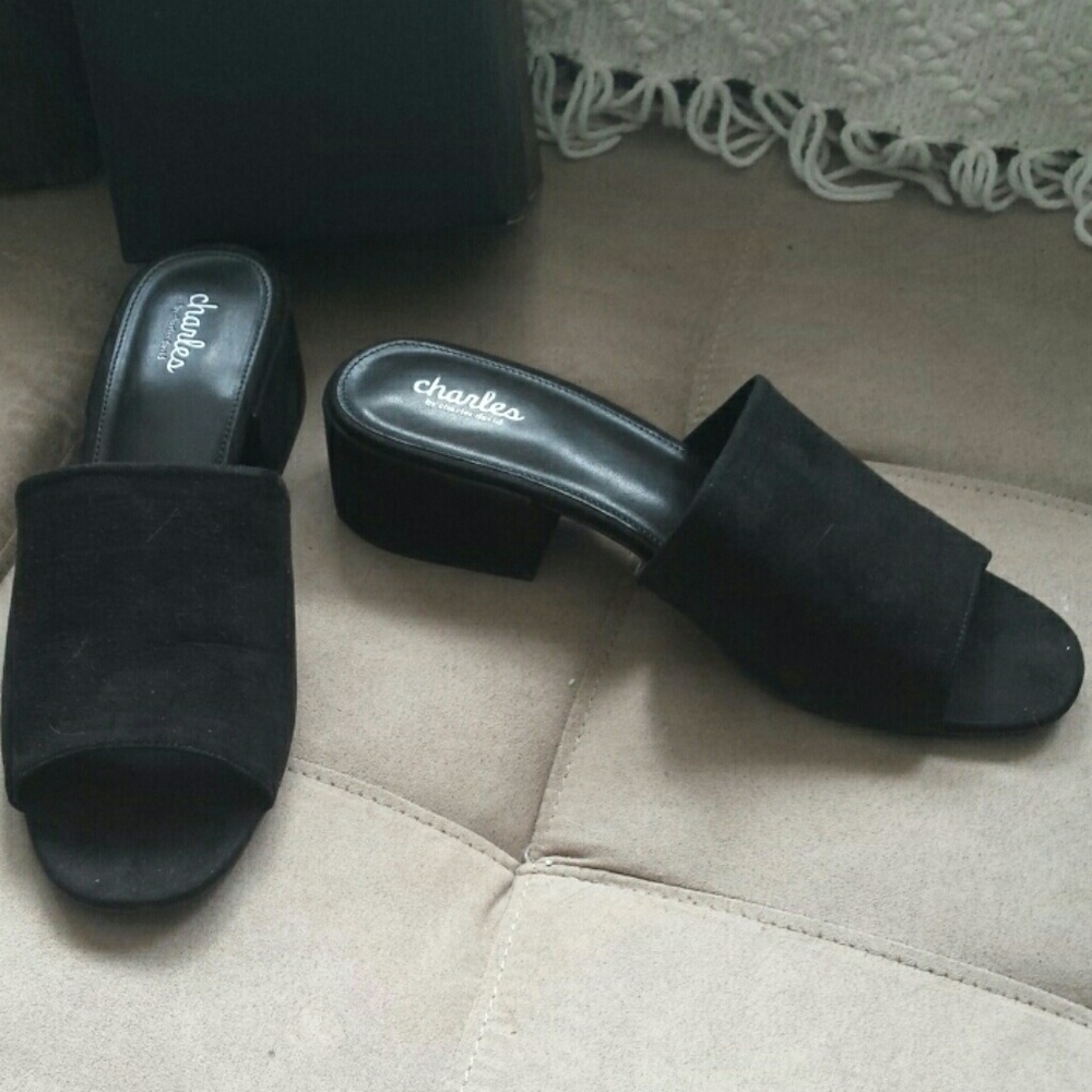 Charles David Nib - image 2